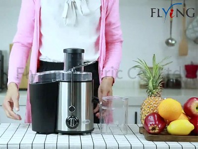 Power Juicer YX-AJ02